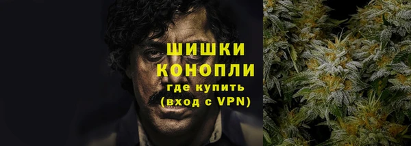 PSILOCYBIN Бронницы