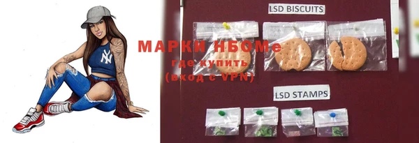 a pvp Бородино