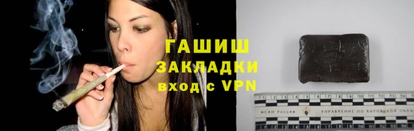 a pvp Бородино