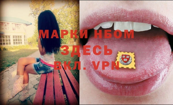 a pvp Бородино