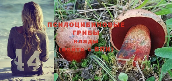 PSILOCYBIN Бронницы
